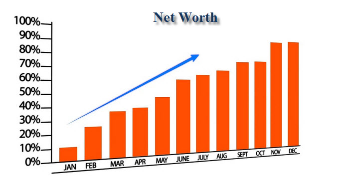 Net Worth Performance