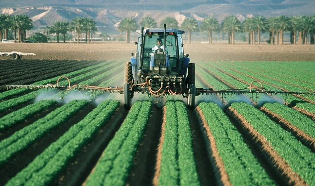 Food Without Pesticide